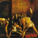 อัลบัม Slave to the Grind