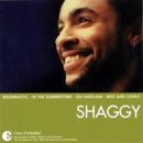 อัลบัม The Essential Shaggy