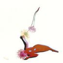 อัลบัม The Far Field
