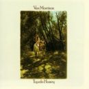 อัลบัม Tupelo Honey