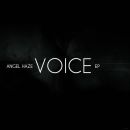 อัลบัม Voice