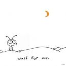 อัลบัม Wait for Me