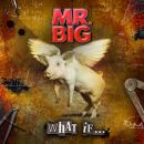 อัลบัม What If...