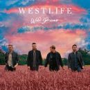 อัลบัม Wild Dreams