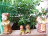 รูปภาพ 44