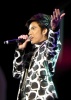 รูปภาพ 49