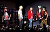 รูปภาพ 18