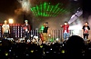 รูปภาพ 33