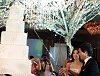 รูปภาพ 53