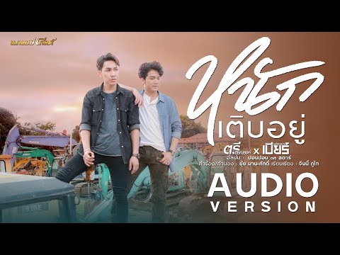 เนื้อเพลง หนักเติบอยู่ | ตรี ชัยณรงค์ | เพลงไทย