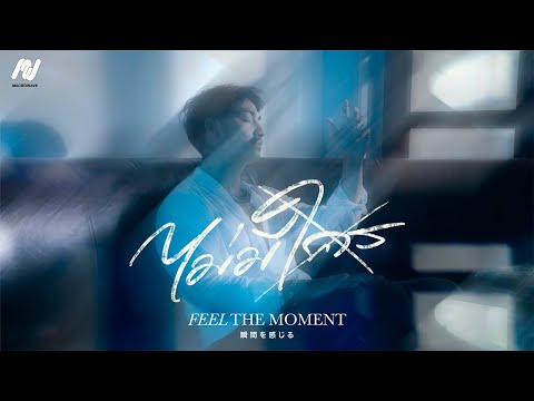 เนื้อเพลง ไม่มีใคร (No One) | ฟีล เดอะ โมเมนต์ Feel The Moment | เพลงไทย