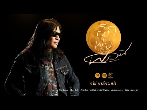 เนื้อเพลง อีกฝั่งของพระจันทร์ | ไข่ คฑาวุธ ทองไทย | เพลงไทย