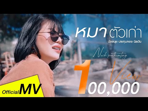 เนื้อเพลง หมาตัวเก่า | น้องนุช ประทุมทอง นิลวัน | เพลงไทย