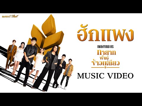 เนื้อเพลง ฮักแพง (Ost. ทายาทพันธุ์ข้าวเหนียว) | รวมศิลปิน | เพลงไทย