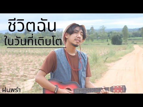เนื้อเพลง ชีวิตฉันในวันที่เติบโต | ฝนพรำ | เพลงไทย