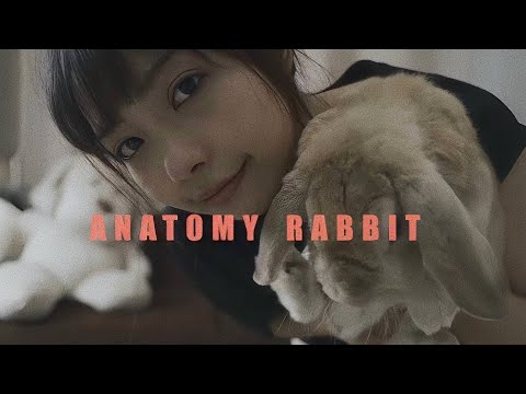 เนื้อเพลง แอบหวัง (App Wang) | อนาโตมี่ แรบบิต Anatony Rabbit | เพลงไทย