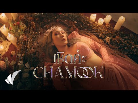 เนื้อเพลง เชิดค่ะ | มุก สุชานันท์ มหาพรหมวัน Chamook | เพลงไทย