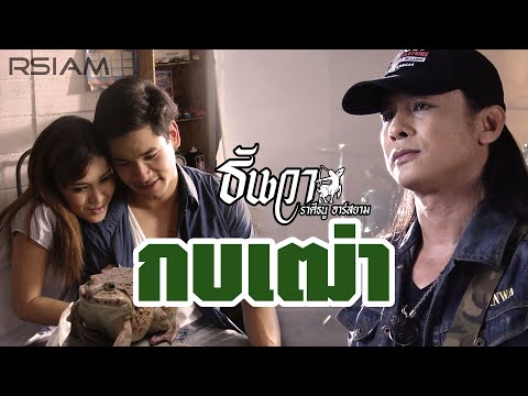 เนื้อเพลง กบเฒ่า | ธันวา ราศีธนู | เพลงไทย