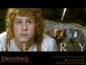 The Lord of the Rings: The Fellowship of the Ring wallpaper