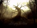 Sleepy Hollow wallpaper