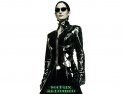 The Matrix: Reloaded wallpaper