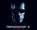 Terminator 3: Rise of the Machines wallpaper