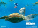 Finding Nemo wallpaper