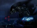 Alien Vs. Predator wallpaper