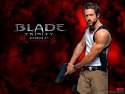Blade: Trinity wallpaper
