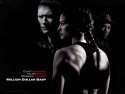 Million Dollar Baby wallpaper