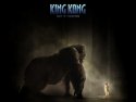 King Kong wallpaper
