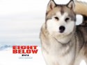 Eight Below wallpaper