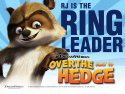 Over the Hedge wallpaper