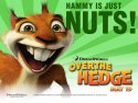 Over the Hedge wallpaper