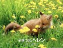 Helen The Baby Fox wallpaper