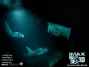 Deep Sea 3D wallpaper