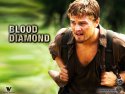 Blood Diamond wallpaper