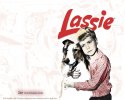 Lassie wallpaper