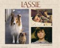 Lassie wallpaper