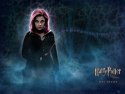 Harry Potter and the Order of the Phoenix wallpaper