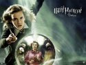 Harry Potter and the Order of the Phoenix wallpaper