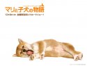 A Tale of Mari and Three Puppies wallpaper
