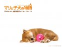 A Tale of Mari and Three Puppies wallpaper