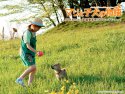 A Tale of Mari and Three Puppies wallpaper