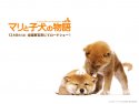 A Tale of Mari and Three Puppies wallpaper
