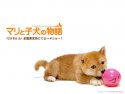 A Tale of Mari and Three Puppies wallpaper