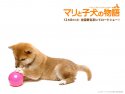 A Tale of Mari and Three Puppies wallpaper