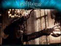 Harry Potter and the Half-Blood Prince wallpaper