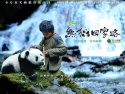 Trail of the Panda wallpaper