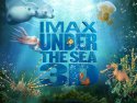 Under the Sea 3D wallpaper